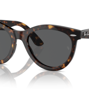 Gafas de sol Ray Ban COL.902/B1  51-21  150