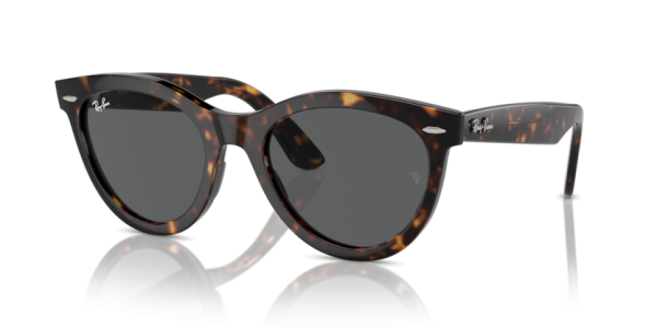 Gafas de sol Ray Ban COL.902/B1  51-21  150